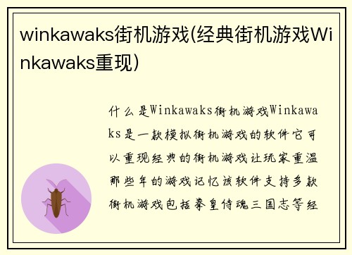 winkawaks街机游戏(经典街机游戏Winkawaks重现)
